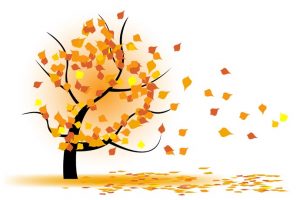 autumn-tree-wind